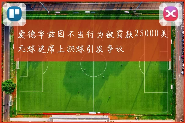 爱德华兹因不当行为被罚款25000美元球迷席上扔球引发争议